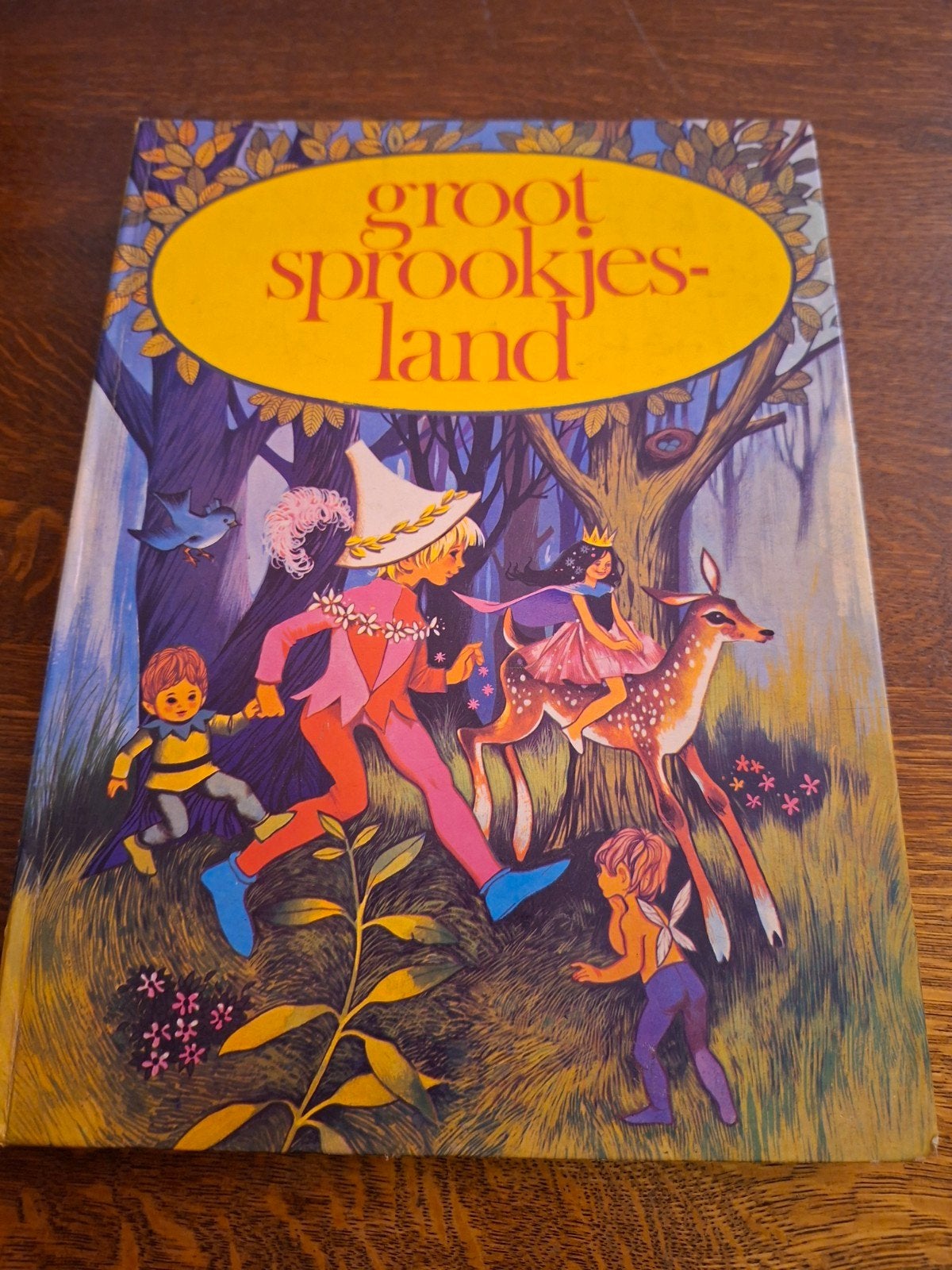 Boek Sprookjes-land, Ophalen of Verzenden, Gelezen, Anoniem