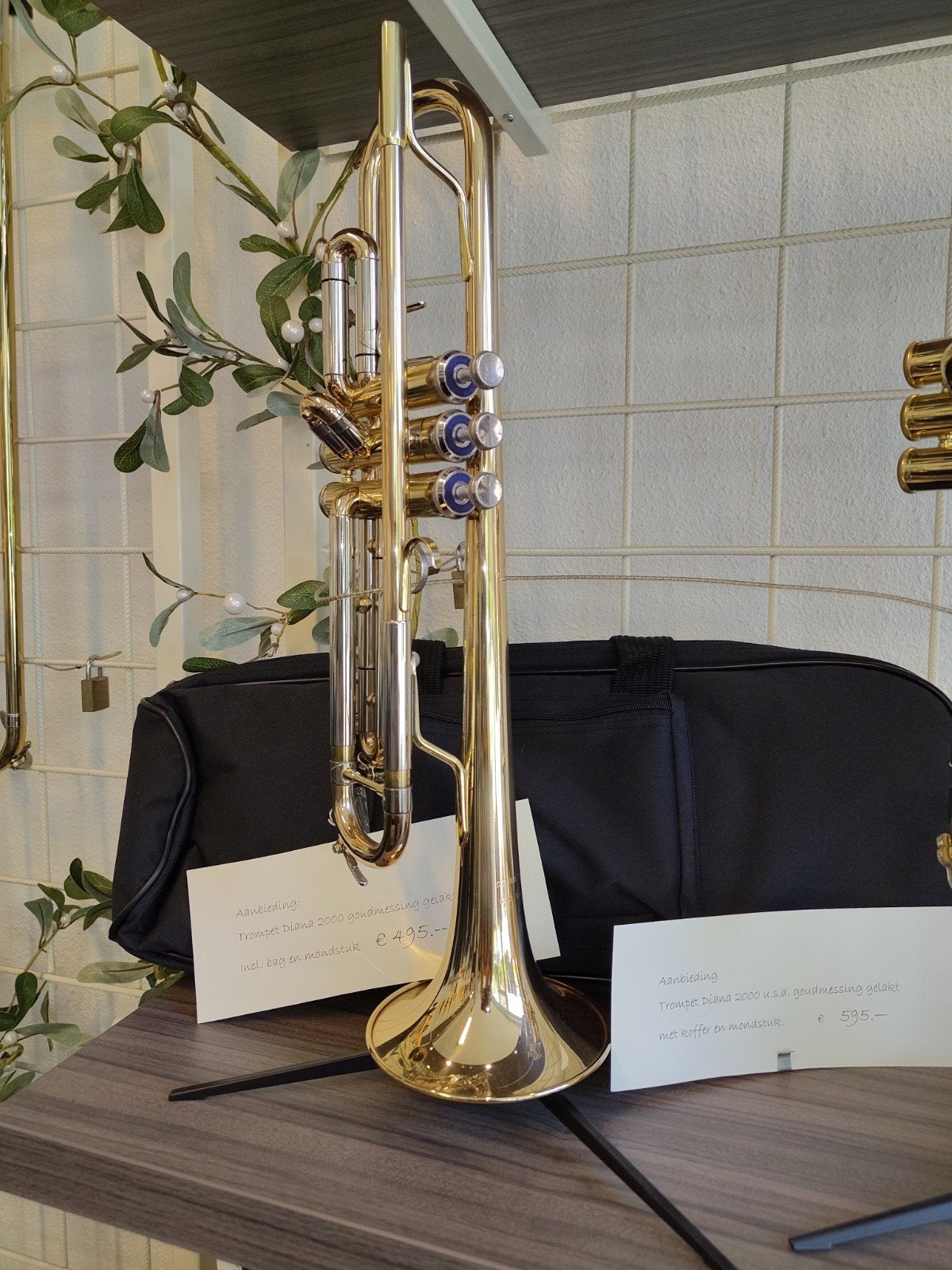 Diana 2000 Trompet in Goud Messing met Koffer, Ophalen of Verzenden, Nieuw, Bes-trompet, Met koffer