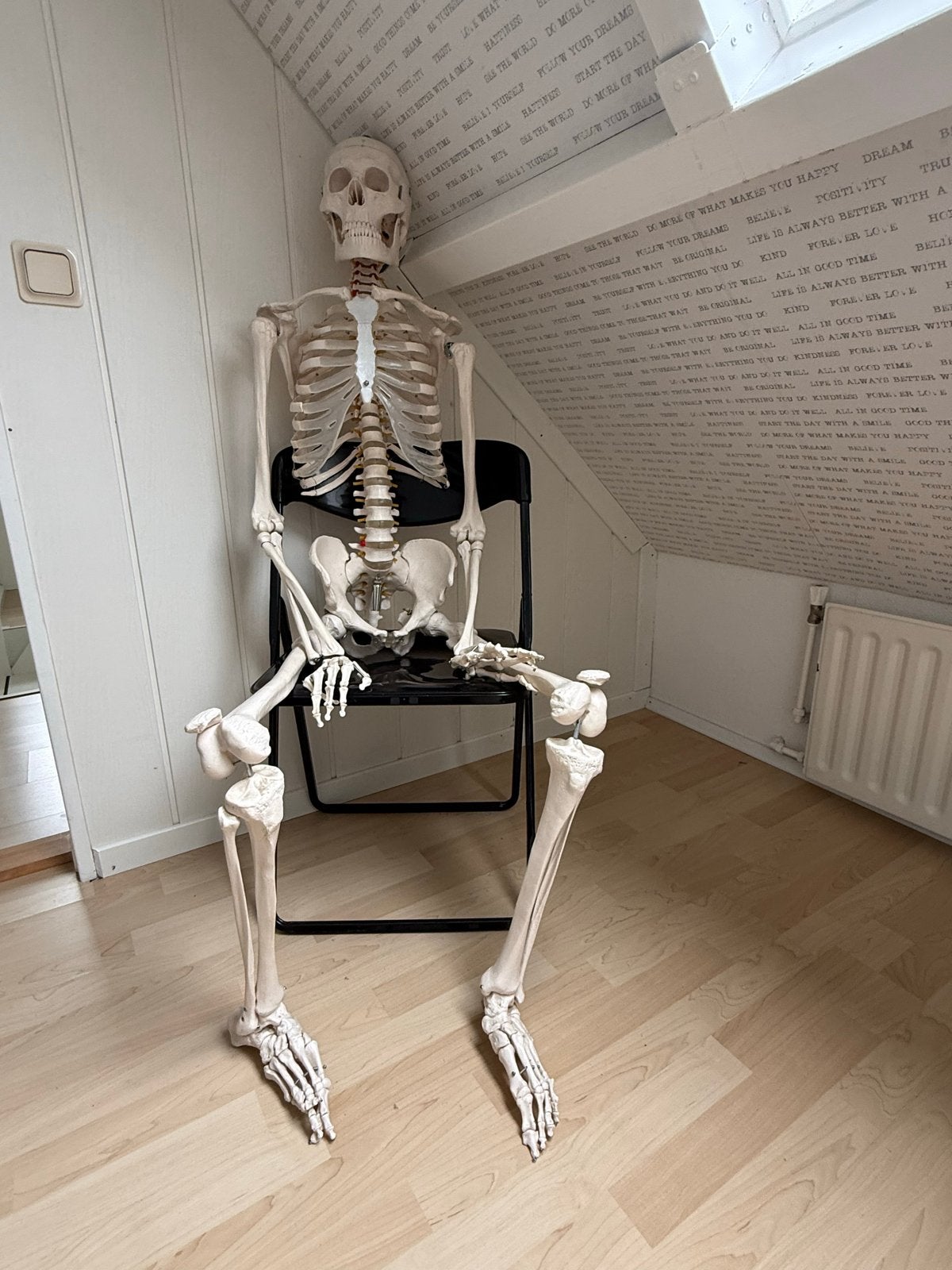 Skelet, Ophalen, Gebruikt, Overige typen, Halloween of Griezel