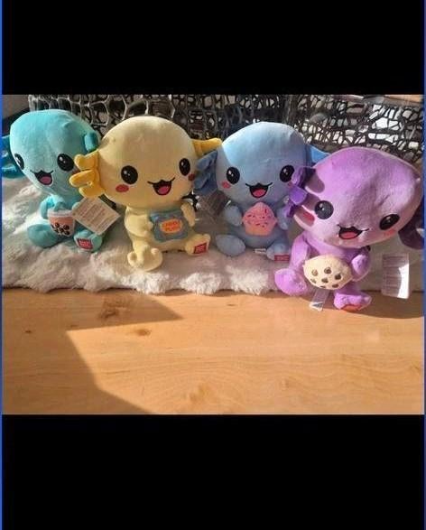 Kawaii Axolotl Knuffels - Super Zacht en Schattig, Kinderen en Baby's, Speelgoed | Knuffels en Pluche, Ophalen of Verzenden, Nieuw