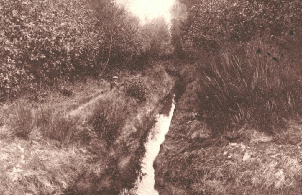 983709 Ugchelen Sprengen in de Goudvink Gld 1946 Gelopen, Ophalen of Verzenden, 1940 tot 1960, Gelopen, Gelderland