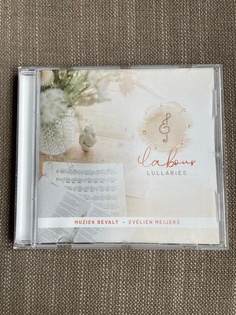 Labour Lullabies cd - Muziek Bevalt Evelien Meijers, Ophalen of Verzenden, Zo goed als nieuw, Gospel