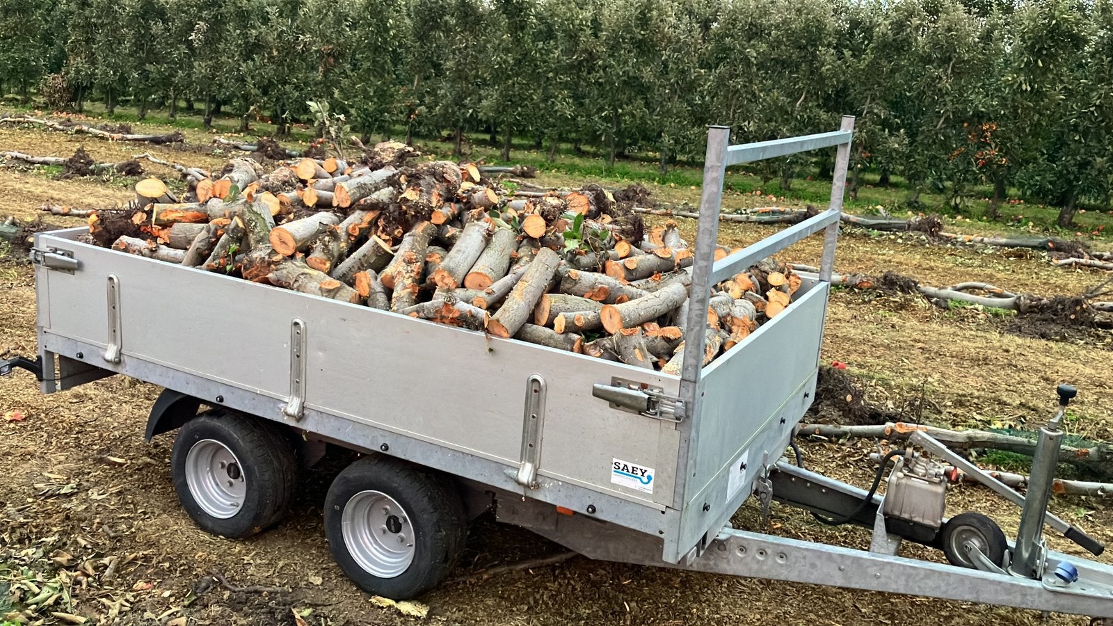 Vers appel haardhout, Tuin en Terras, Minder dan 3 m³, Ophalen