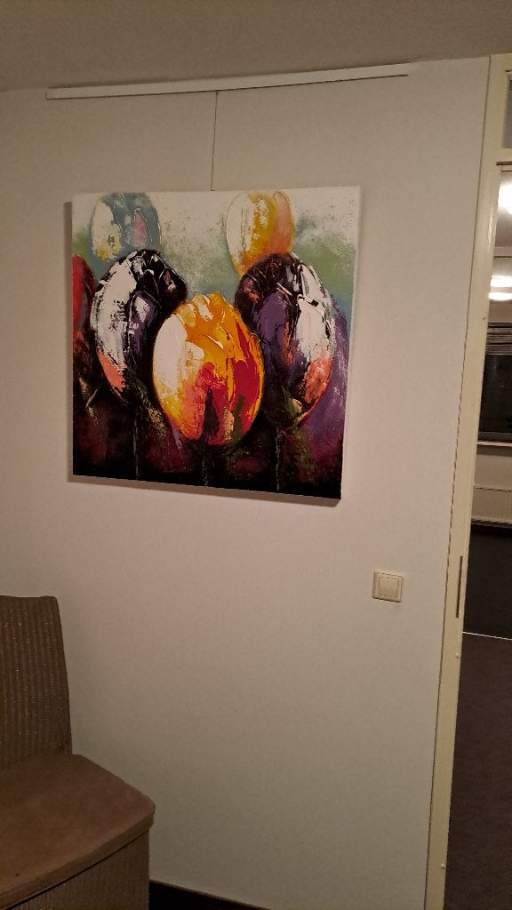 Tulpen, Ophalen, Minder dan 50 cm, Schilderij