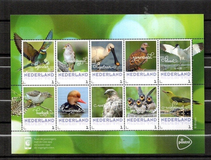 postfris velletje. Persoonlijke postzegels. vogels, Ophalen of Verzenden, Na 1940, Postfris