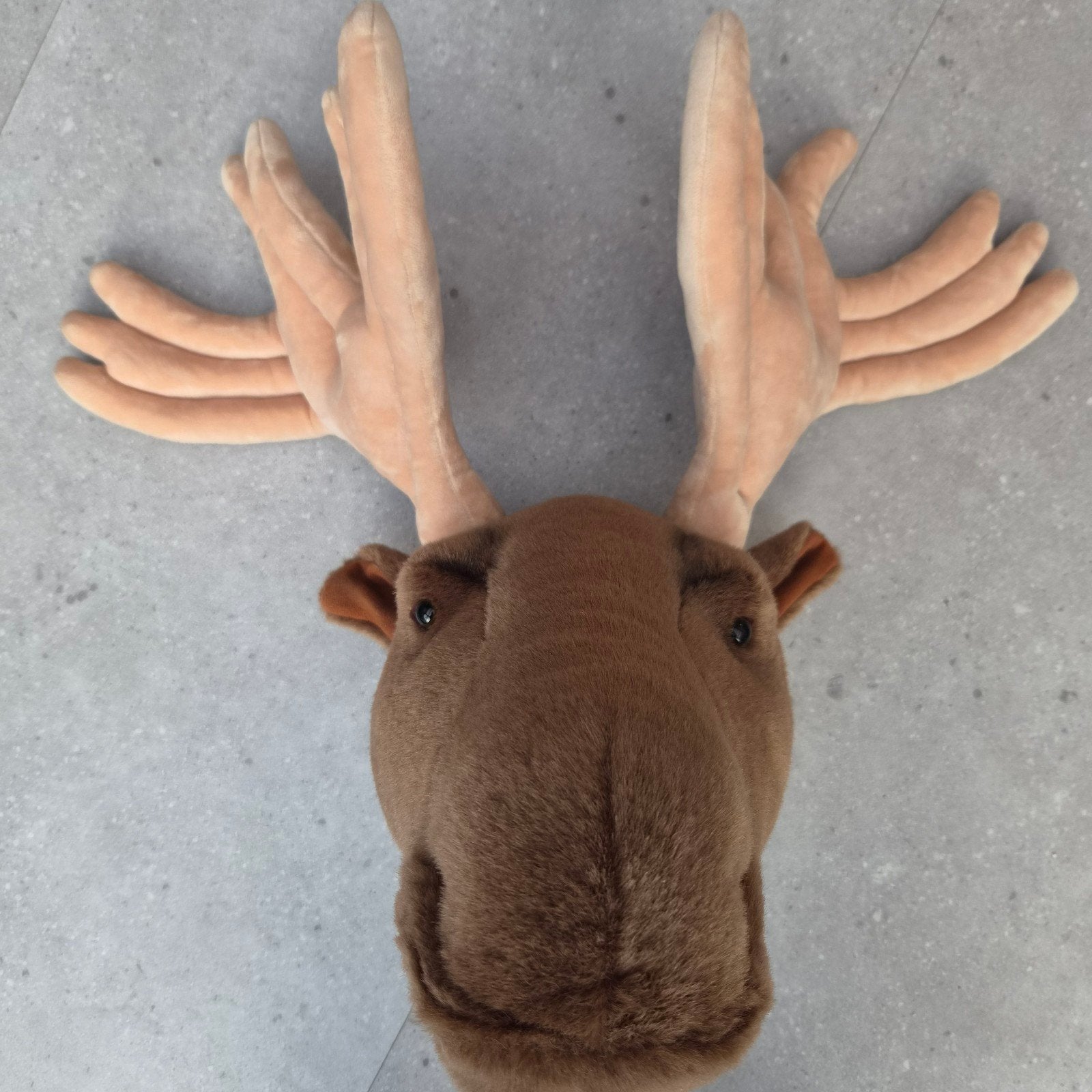 Wild and Soft dierenkop rendier, Ophalen, Zo goed als nieuw, Wanddecoratie