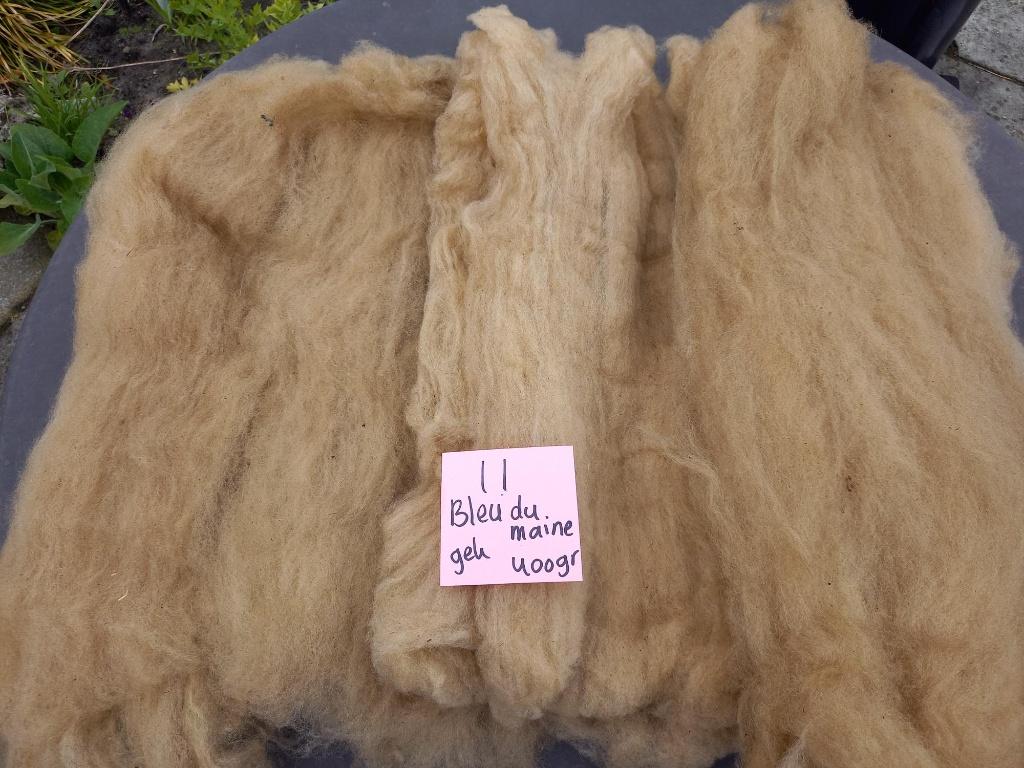 nr 11 Gekaarde wol kaardvlies van een Bleu du Maine, Ophalen of Verzenden, Nieuw