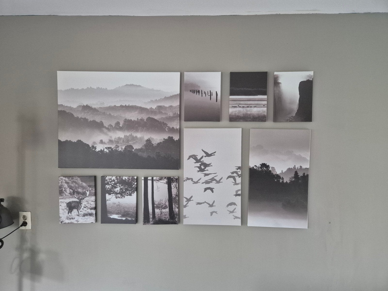 Set van 9 zwart-wit prints met natuurthema, Ophalen, 50 – 75, 75 tot 100 cm, Print