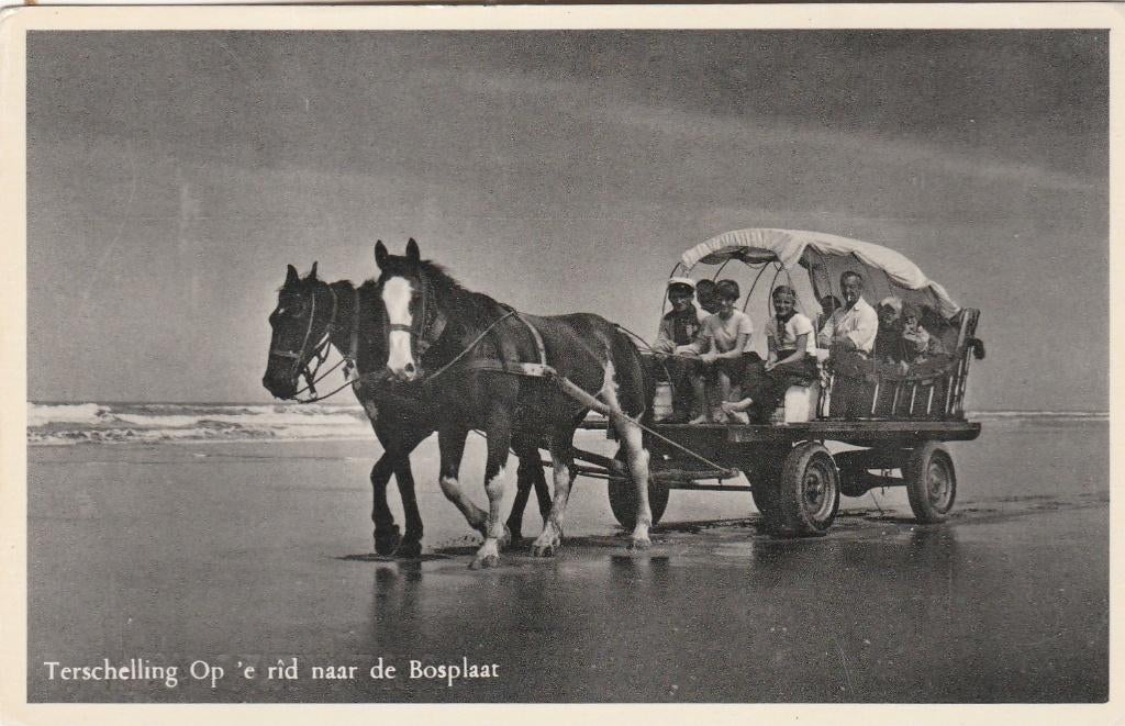 terschelling- rit naar de bosplaat, Ophalen of Verzenden, Waddeneilanden