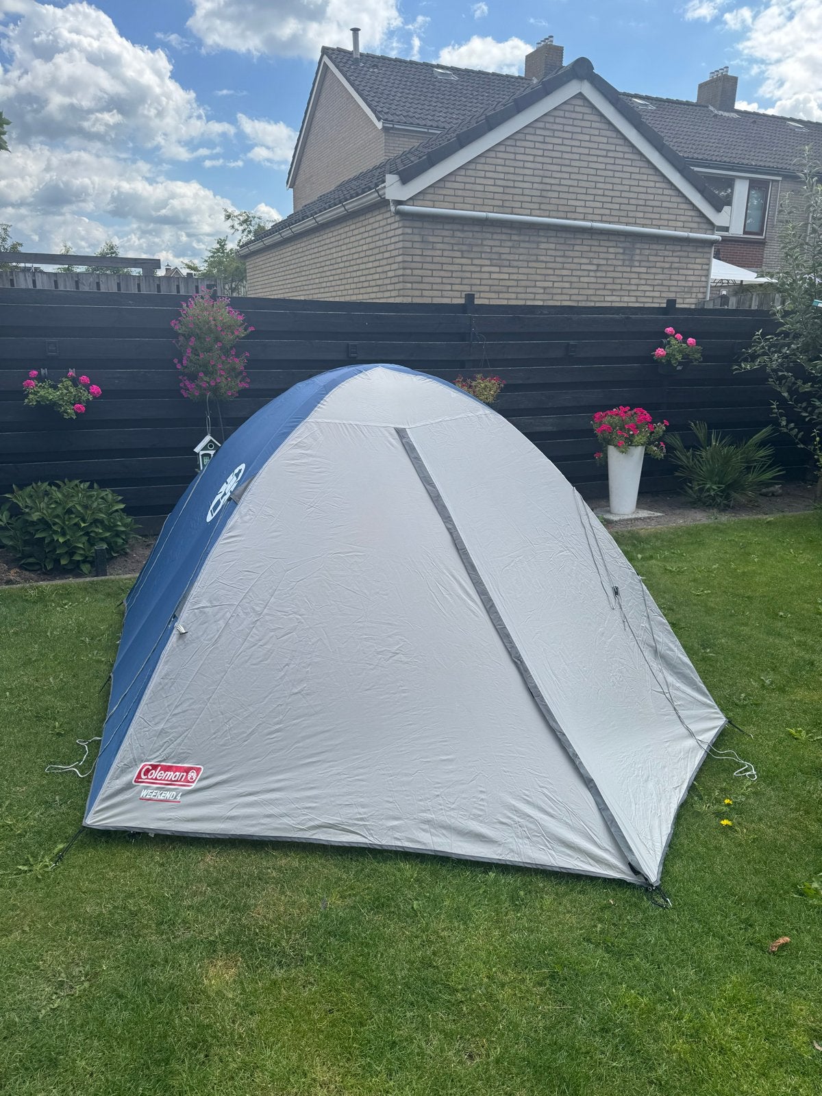 Coleman Weekend 4 persoons tent - Zeer goede staat, Caravans en Kamperen, Tenten, Ophalen of Verzenden, Zo goed als nieuw, Tot en met 4