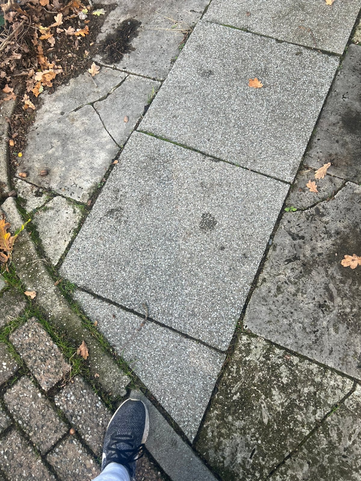 Betontegels 60x60x6, Ophalen, Gebruikt, Overige typen, Beton