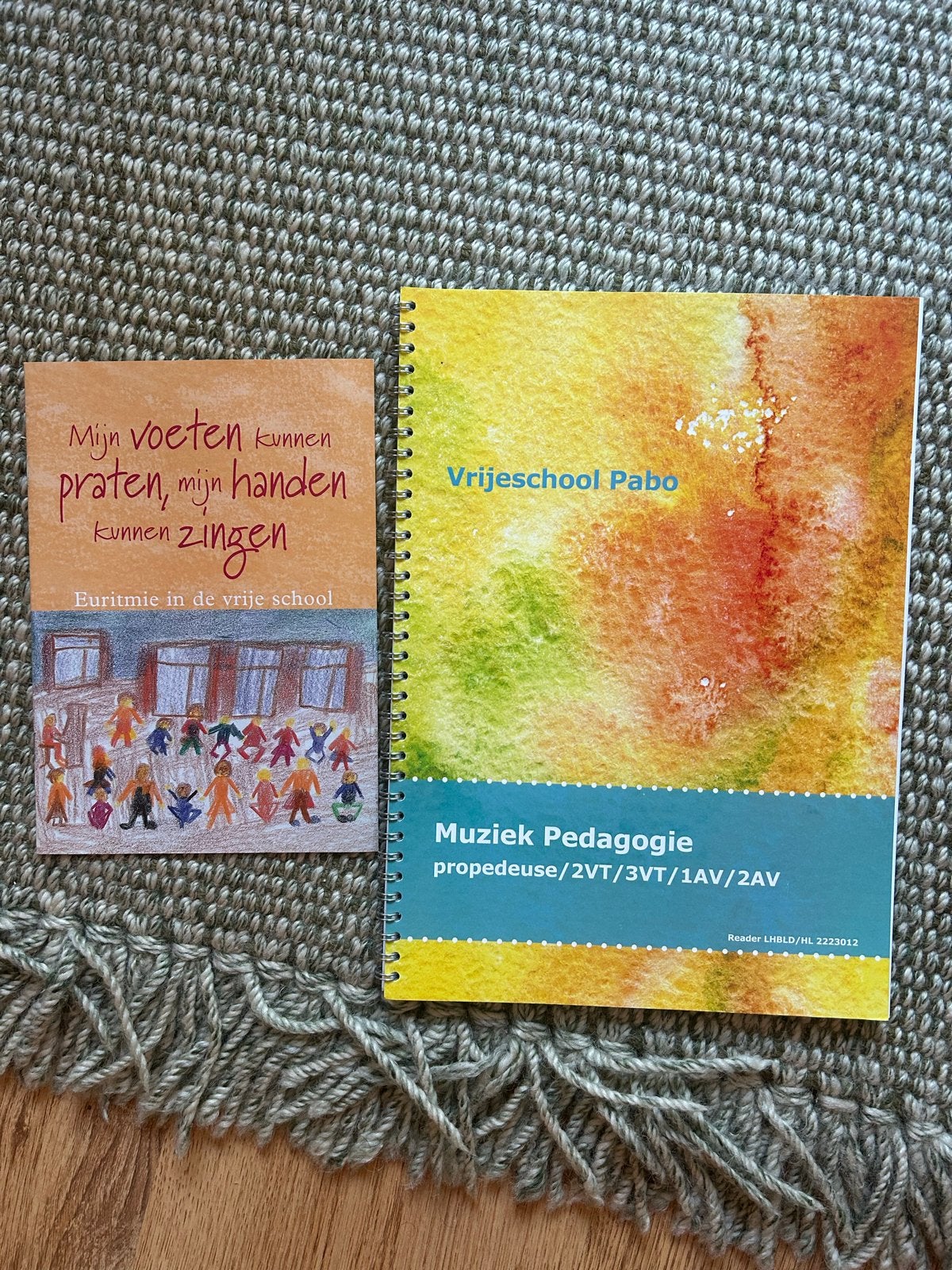 Vrijeschool Pabo: Muziek Pedagogie & Euritmie Boeken, Ophalen of Verzenden, Zo goed als nieuw, HBO