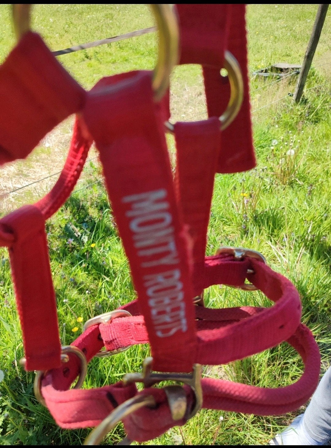 Monty Roberts Dually trainingshalster maat pony/arabier, Ophalen of Verzenden