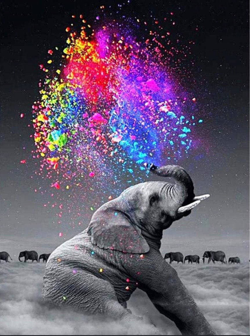 Paint by numbers olifant, Ophalen of Verzenden, Nieuw, Schilderen op nummer