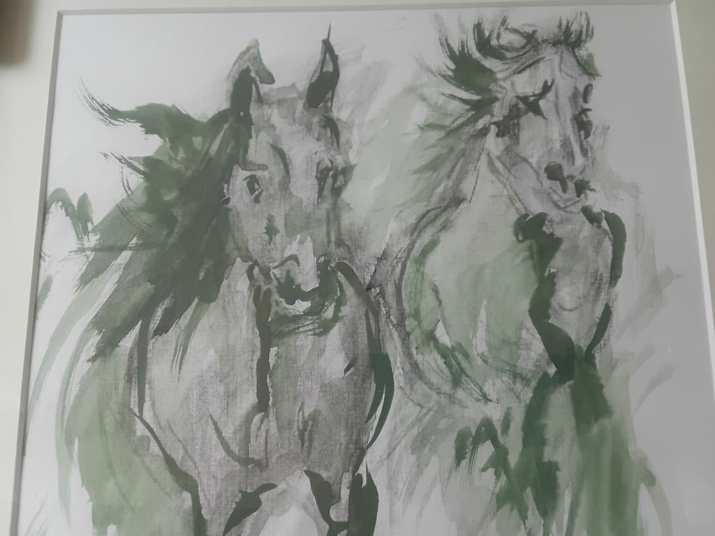 Aguarel paarden., Antiek en Kunst, Kunst | Etsen en Gravures, Ophalen, Flora en Fauna