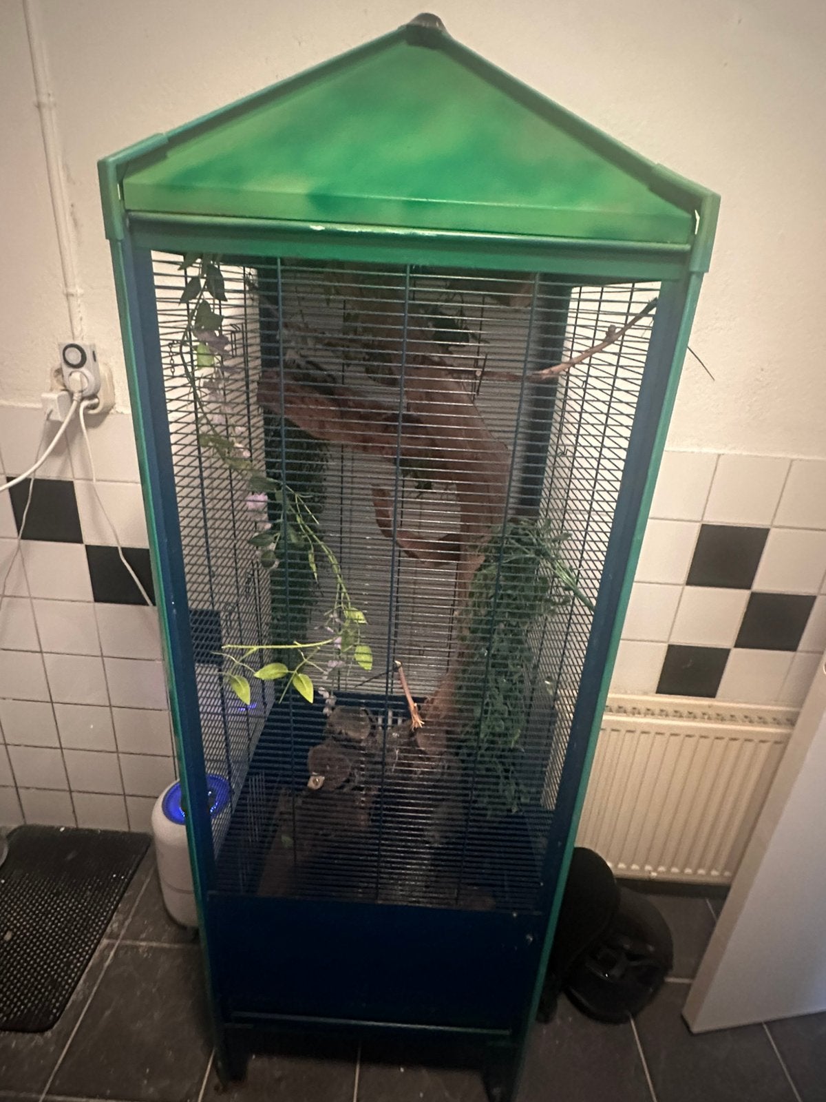 Gratis op te halen, Dieren en Toebehoren, Ophalen, Gebruikt, Hout, Vogelkooi