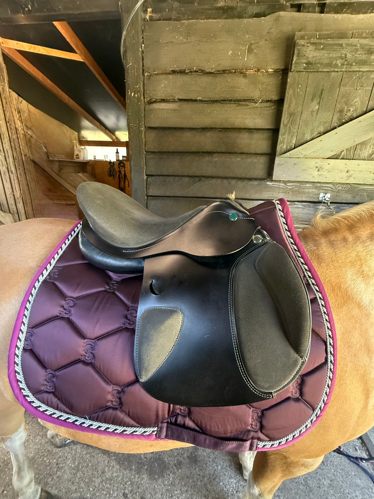Prestige happy pony vss 15” als nieuw, Ophalen of Verzenden, Zo goed als nieuw, Springen
