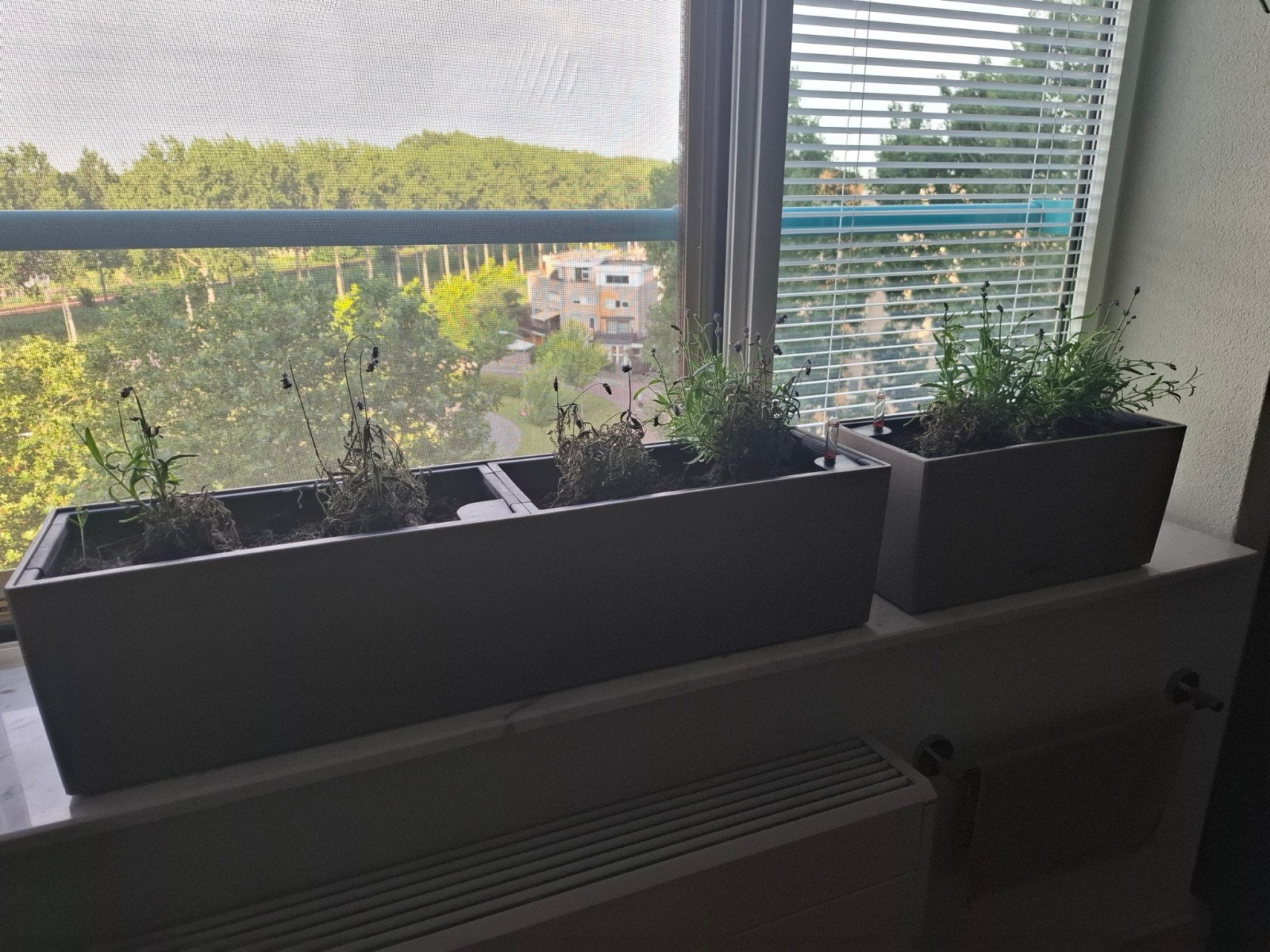 Lechuza Balconera planten bloembak beige taupe 2x, Ophalen, Rechthoekig, Kunststof, Binnen