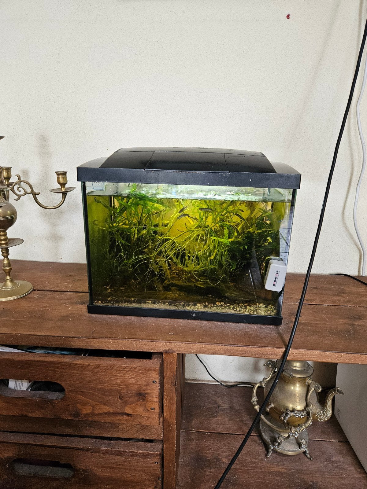 50L aquarium SuperFish incl. visjes, Dieren en Toebehoren, Vissen | Aquaria en Toebehoren, Ophalen, Gebruikt, Inclusief toebehoren