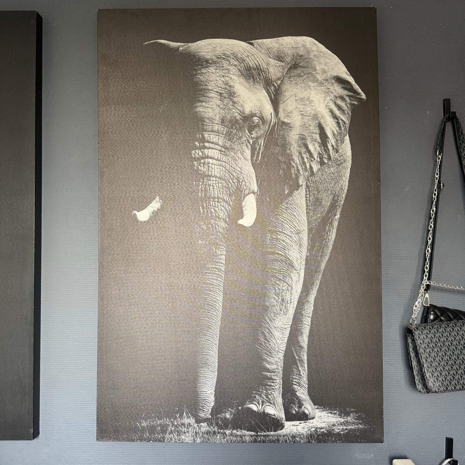 Groot Canvas Schilderij Olifant 115x75cm, Ophalen of Verzenden, Zo goed als nieuw, Schilderij, 75 – 100