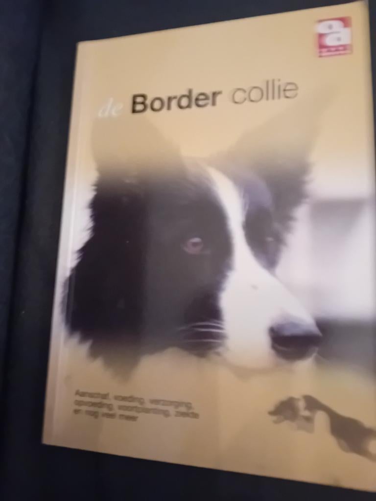 De Border Collie, Boeken, Dieren en Huisdieren, Zo goed als nieuw, Honden, Ophalen of Verzenden