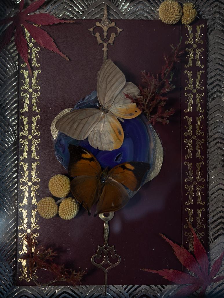 Vlinders op agaat in lijst met droogbloemen, Ophalen of Verzenden, Nieuw, Insect, Opgezet dier