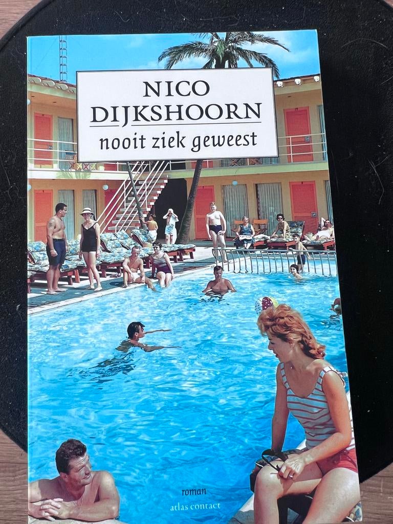 Nooit ziek geweest - Nico Dijkshoorn (roman), Ophalen of Verzenden, Gelezen, Nederland