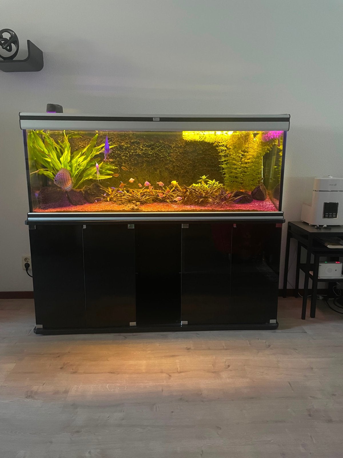 Aquarium, Dieren en Toebehoren, Vissen | Aquaria en Toebehoren, Ophalen