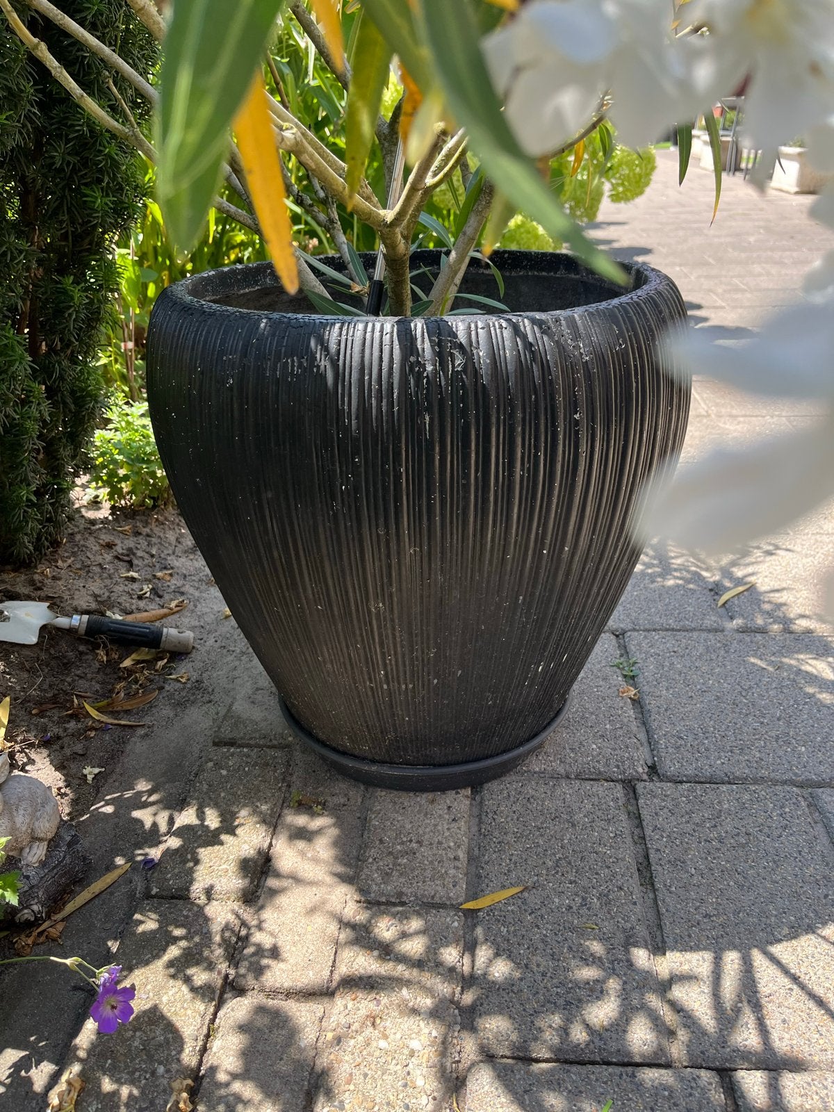 Zwarte bloempot met structuur, geschikt voor buiten, Tuin en Terras, Bloempotten, 25 tot 40 cm, Kunststof, Gebruikt, Balkon