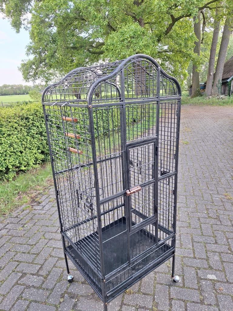 Vogel of papegaaien kooi, Ophalen, Zo goed als nieuw, Metaal, Vogelkooi