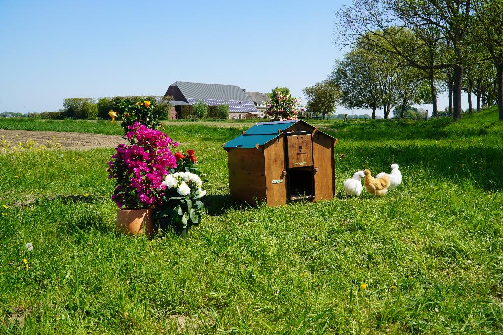 Trespa Kippenhok Cucciolotta | Mignon, Dieren en Toebehoren, Pluimvee | Toebehoren, Ophalen of Verzenden, Nieuw, Kippenhok of Kippenren