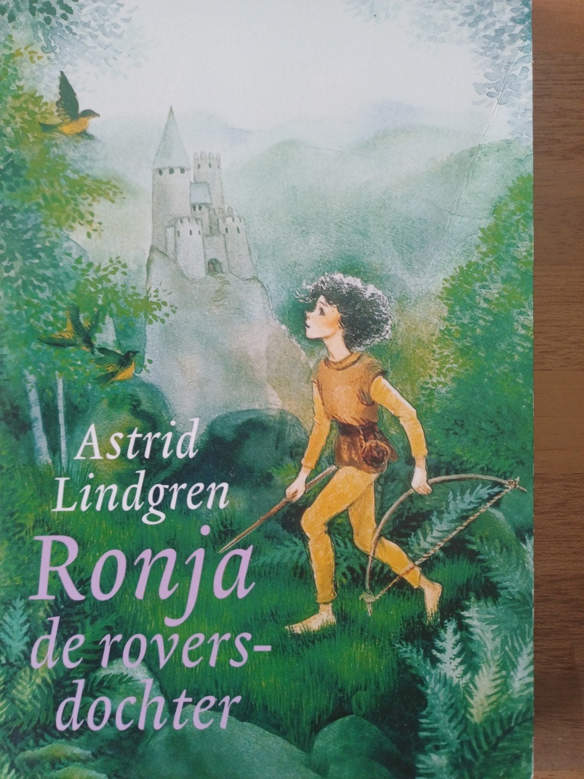 Astrid Lindgren - Ronja de roversdochter, Boeken, Ophalen of Verzenden, Zo goed als nieuw, Astrid Lindgren