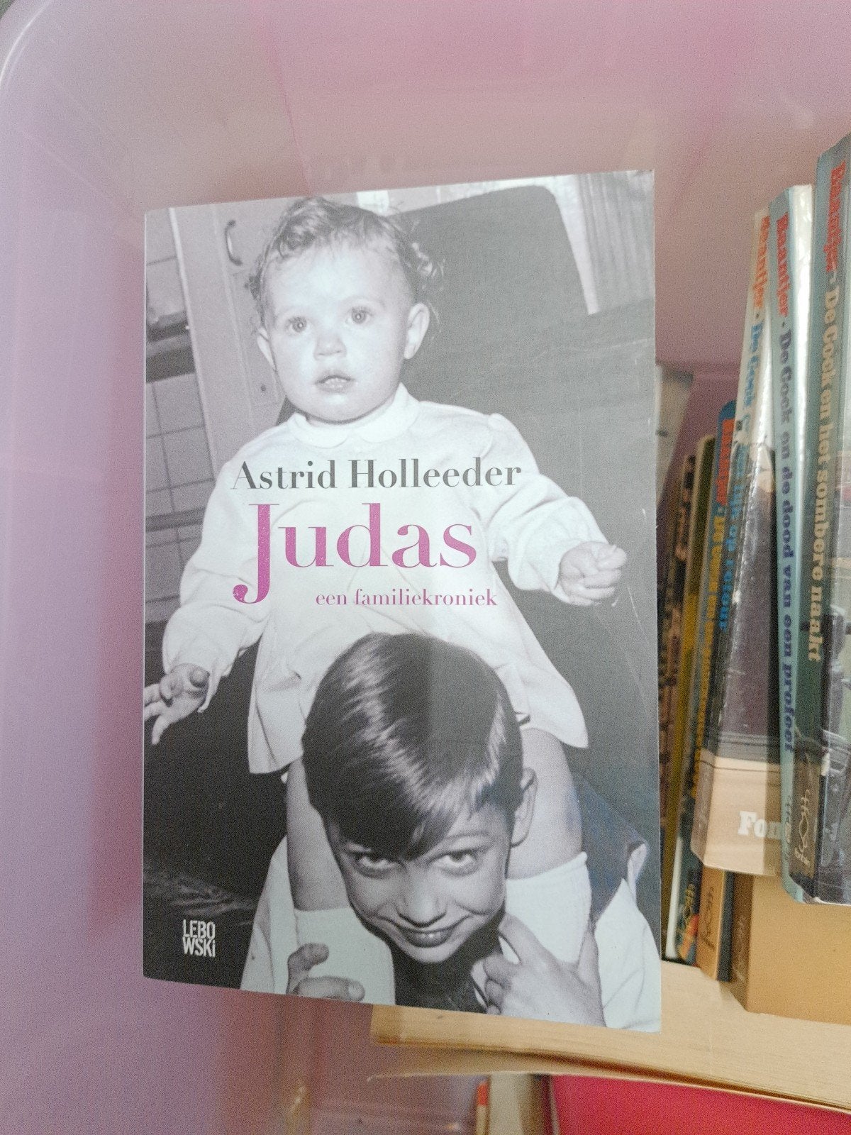 Astrid Holleeder - Judas: een familiekroniek, Ophalen of Verzenden, Gelezen, Astrid Holleeder, Overige