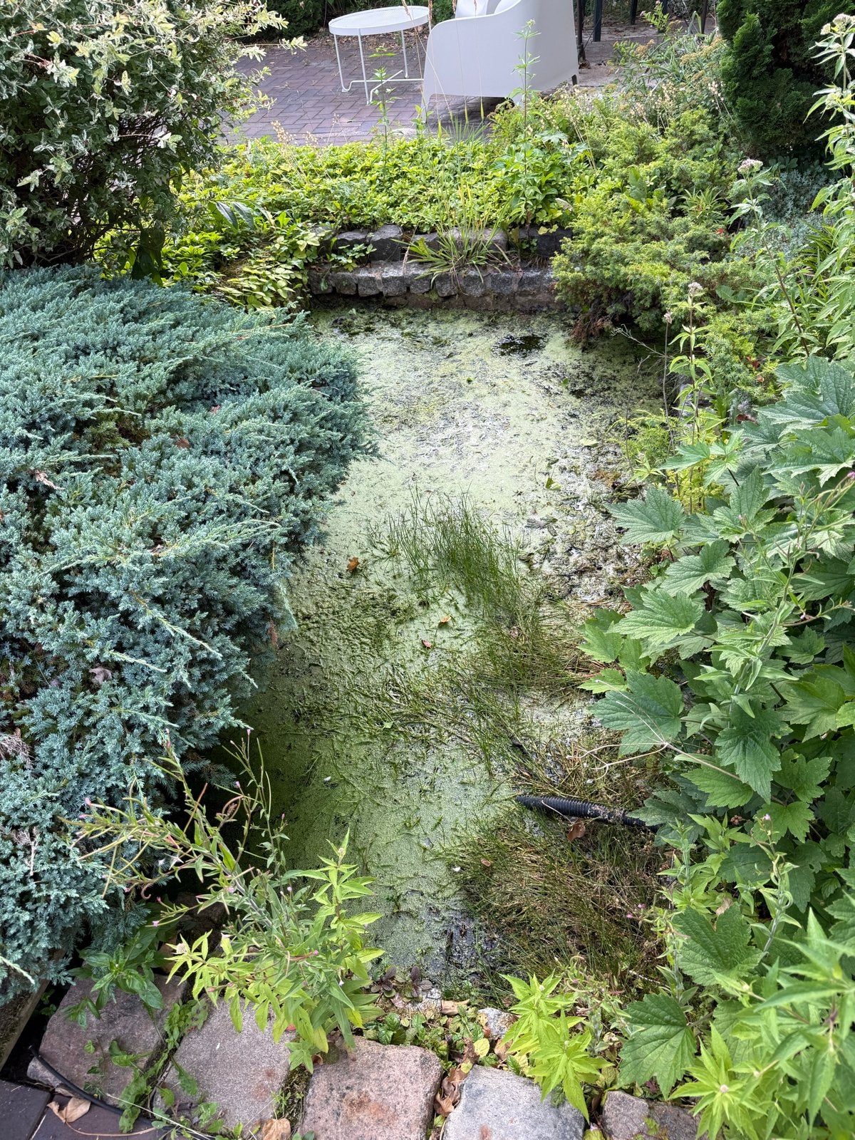 Vervallen vijver met houten brug en bestrating, Ophalen, Gebruikt