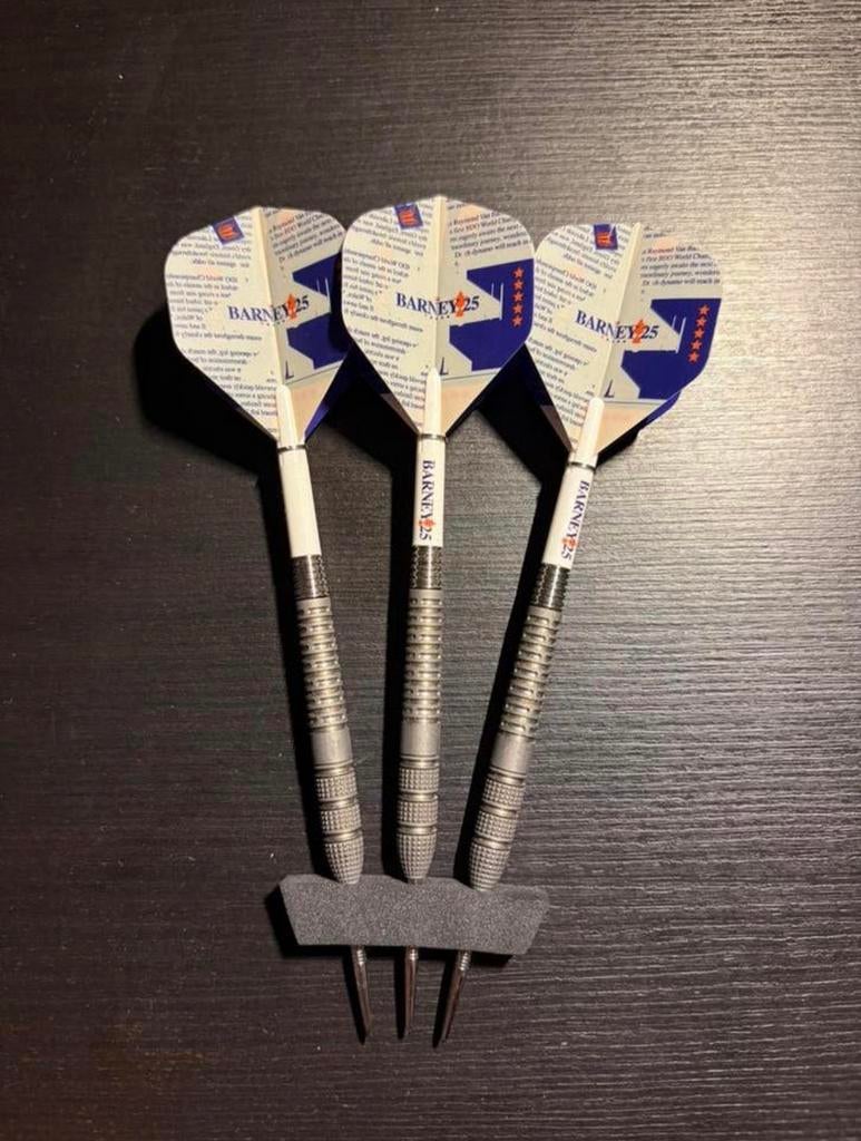Target Raymond van Barneveld 95% Darts – 21g alleen barrels, Sport en Fitness, Darts, Ophalen of Verzenden, Zo goed als nieuw