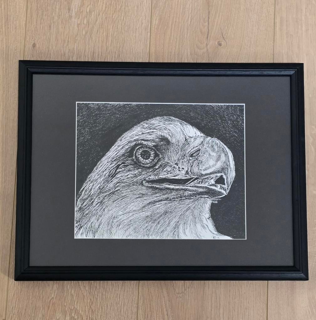 American Eagle, Ophalen of Verzenden
