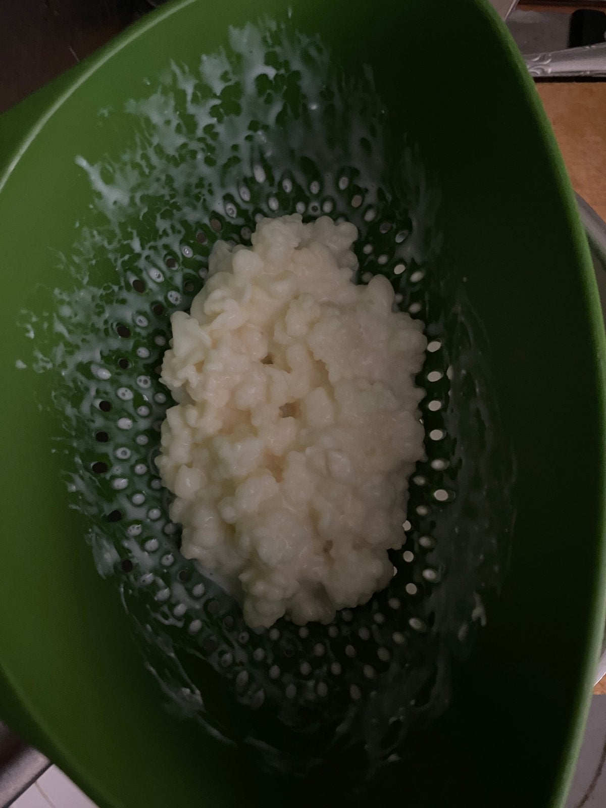 Gratis ophalen: melkkefirplantjes, Ophalen