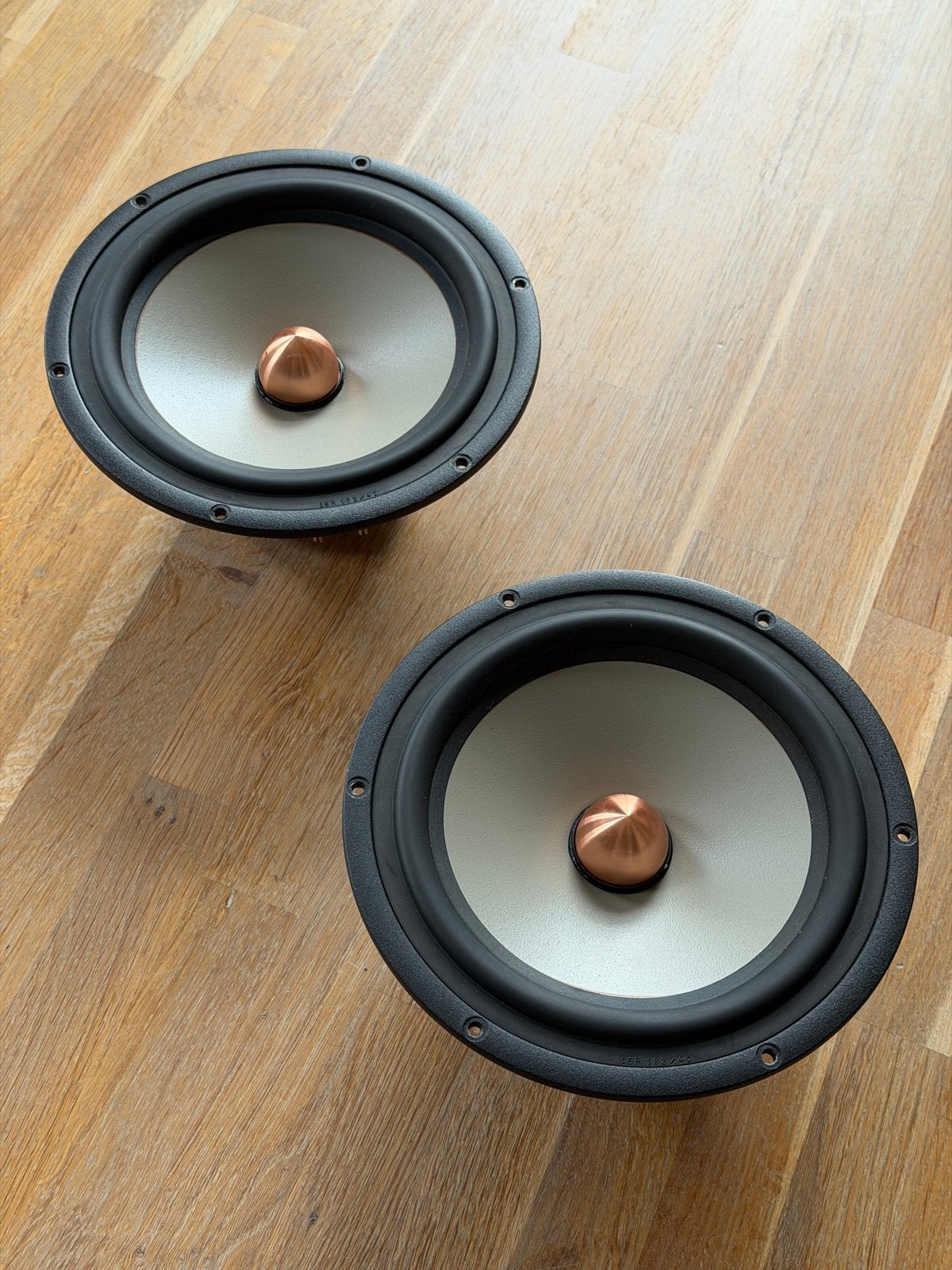 Seas Excel W22EX001 Woofers (Paar), Audio, Tv en Foto, Luidsprekers, Gebruikt, 120 tot 150 watt, Overige typen, Ophalen