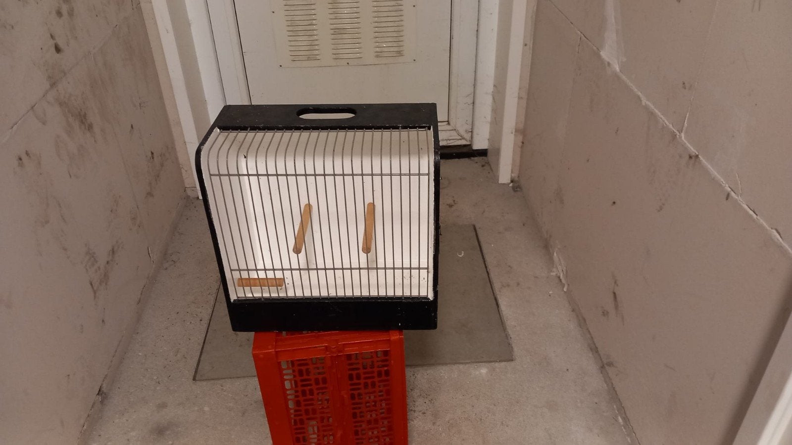 2 tentoonstellings kooi, Ophalen of Verzenden, Hout, Vogelkooi