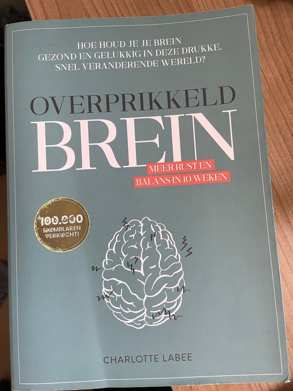Overprikkeld Brein - Meer rust en balans in 10 weken, Boeken, Ophalen of Verzenden, Gelezen, Klinische psychologie