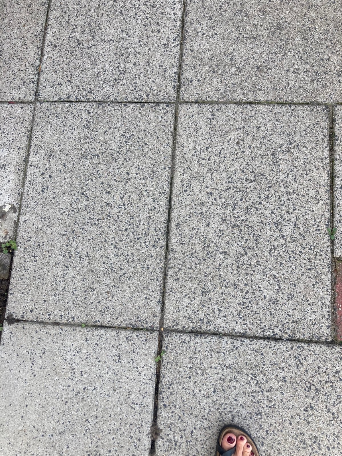 Per direct af te halen in Kudelstaart, Tuin en Terras, Ophalen, Gebruikt, Beton, Terrastegels