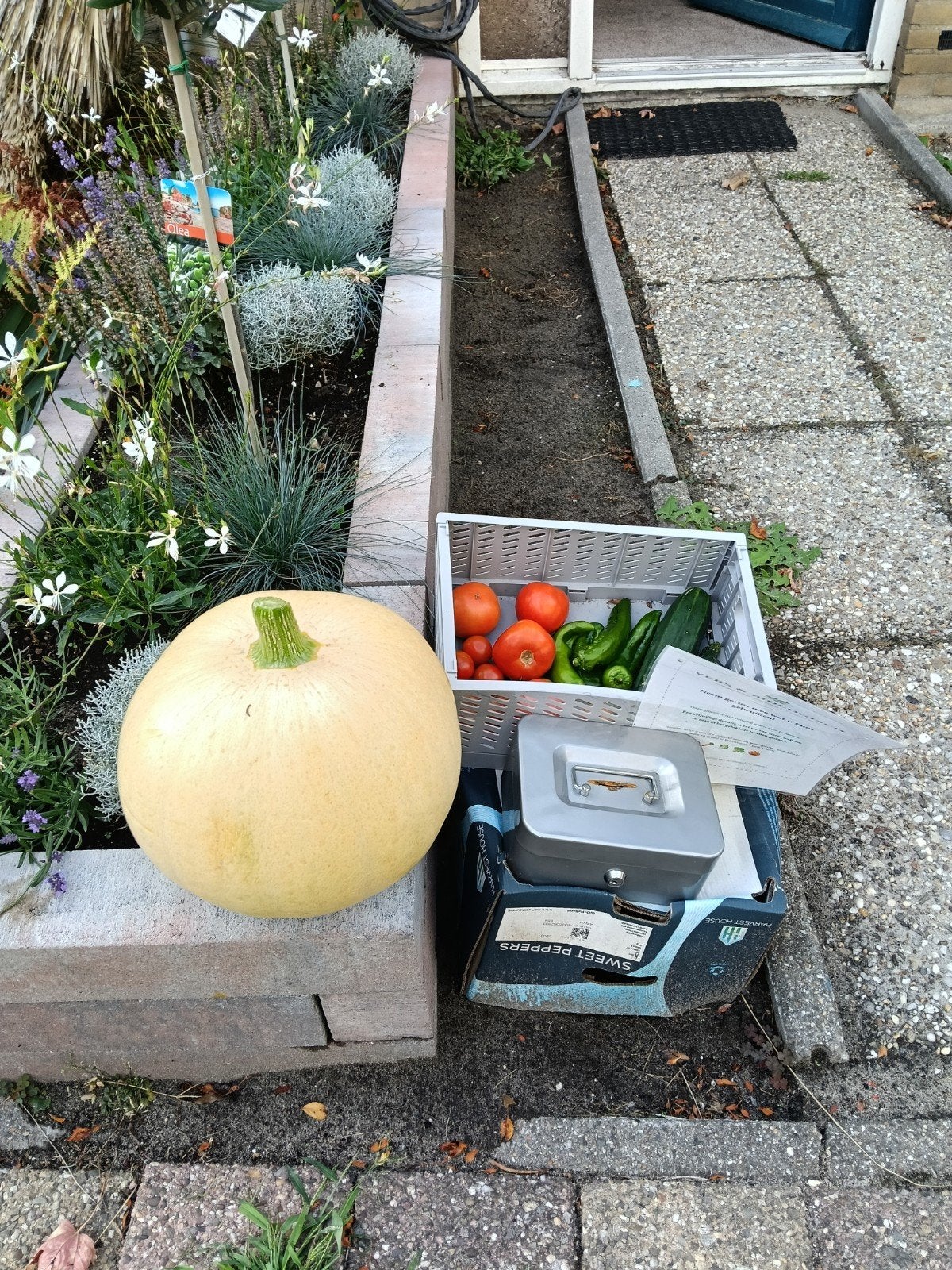 Verse groenten uit eigen moestuin, Ophalen
