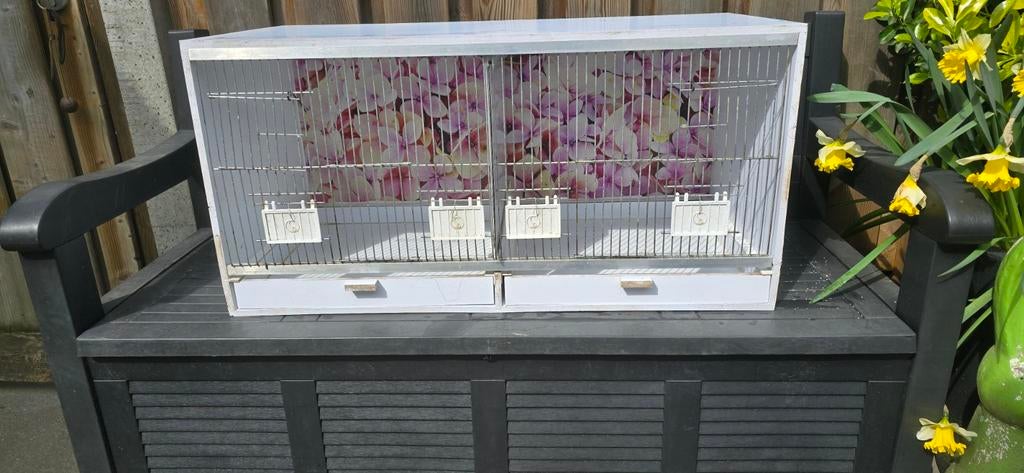Kunststof broedkooi 80x40x40, Dieren en Toebehoren, Meerdere dieren