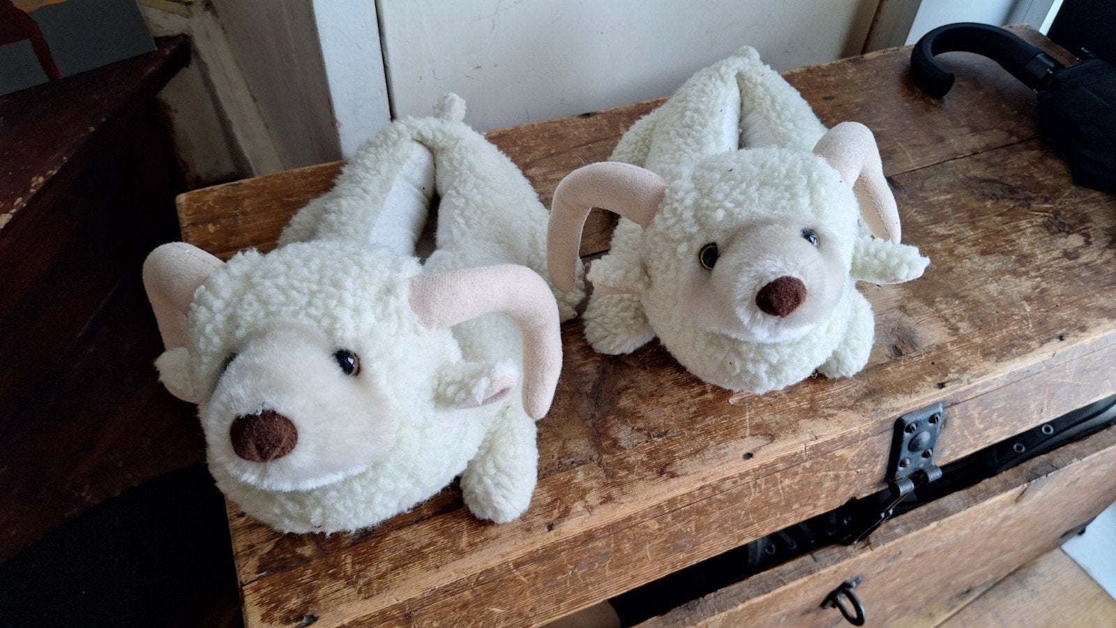 Schaap pantoffels sloffen 36, Jongen of Meisje, Overige typen, Ophalen of Verzenden, Zo goed als nieuw