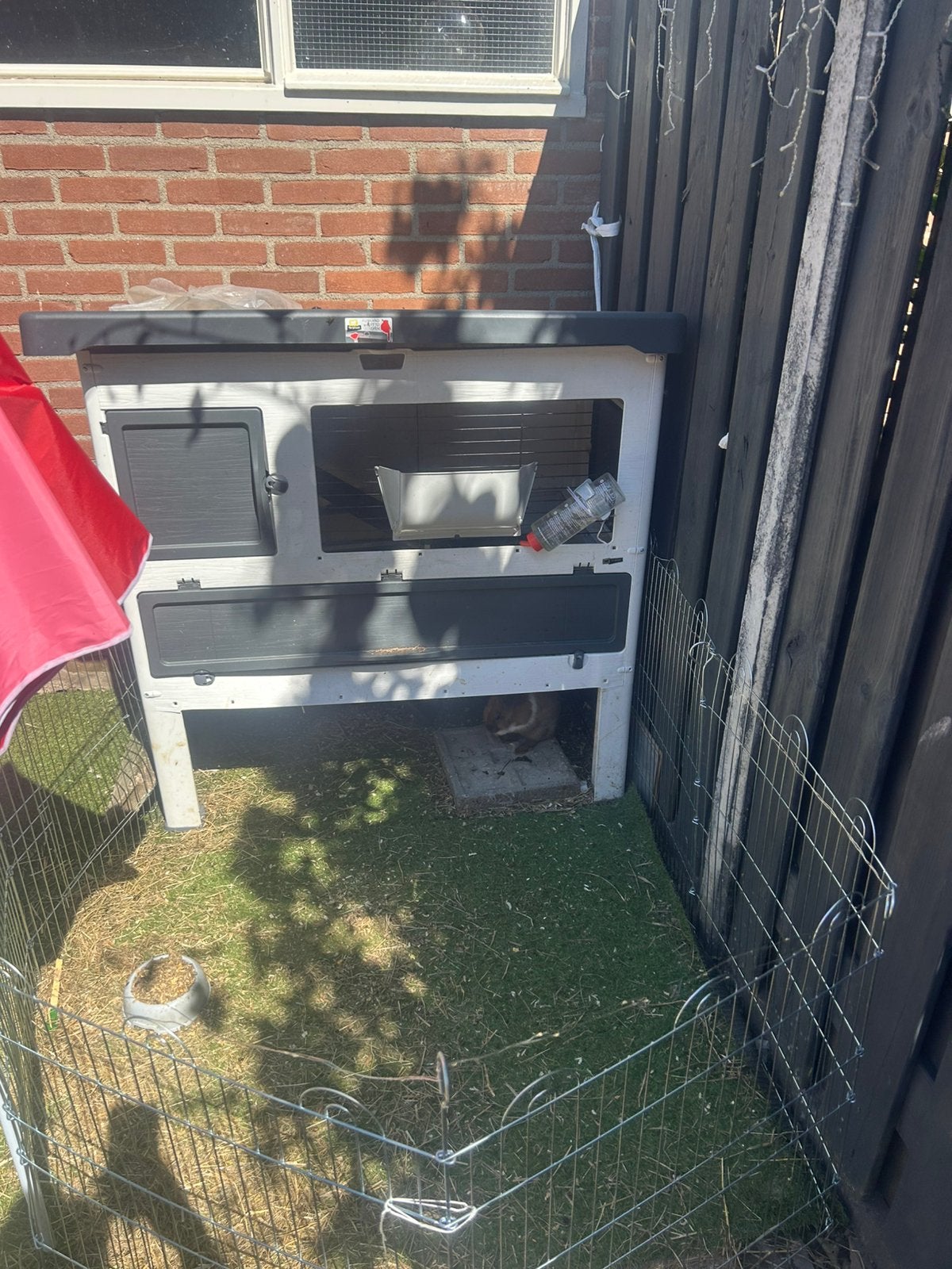 Tekoop konijenhok, 110 cm of meer, Ophalen of Verzenden, Zo goed als nieuw, 90 cm of meer