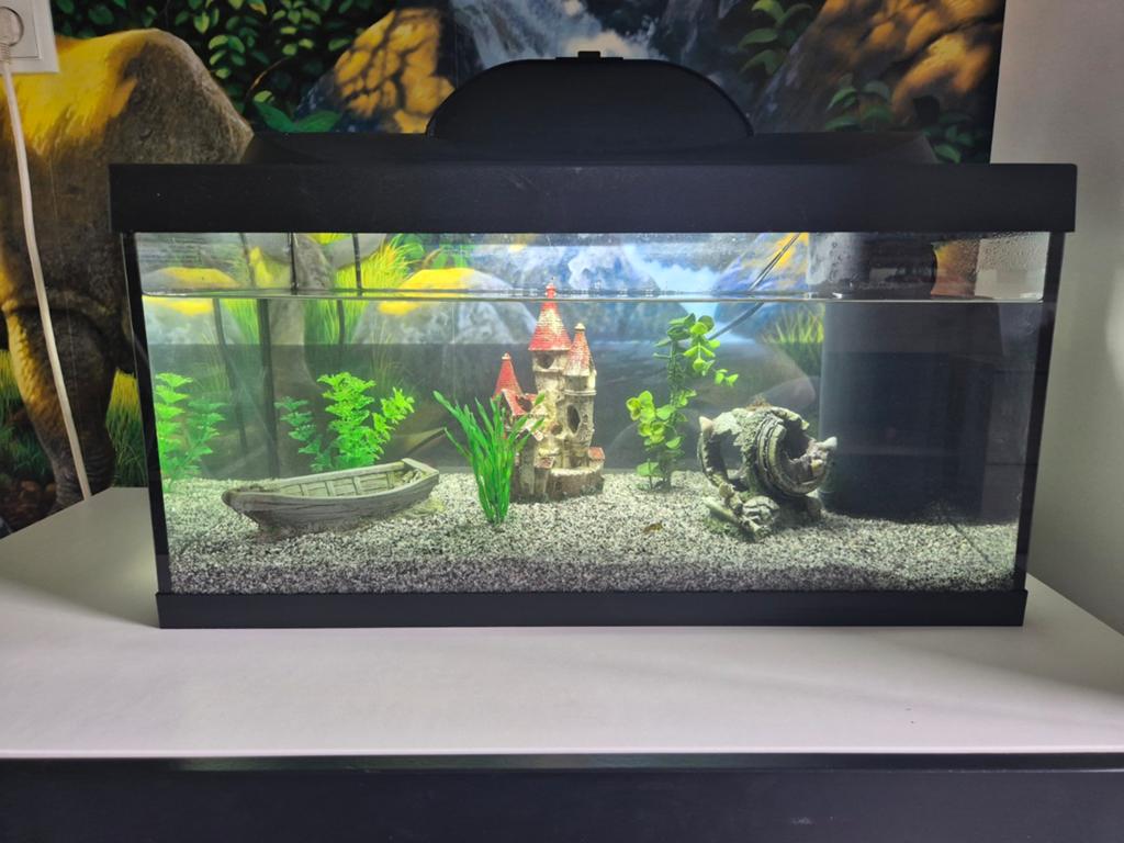 Tetra aquarium starter line - 54L, Vis, Zoetwatervis