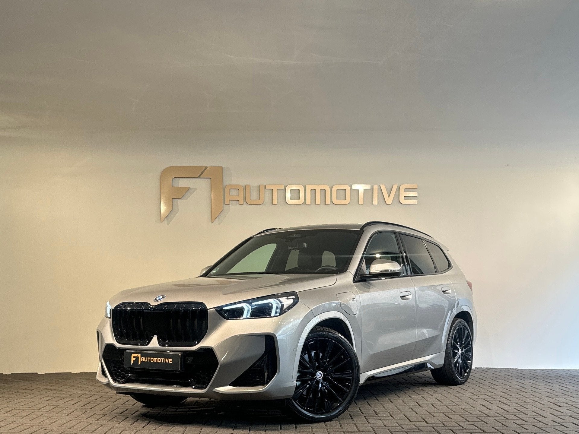 BMW X1 XDrive25e M H/K|Memory|Trekhaak|Keyless|Massage|Dodeh, Dealer onderhouden, Gebruikt, Euro 6, 16 kWh