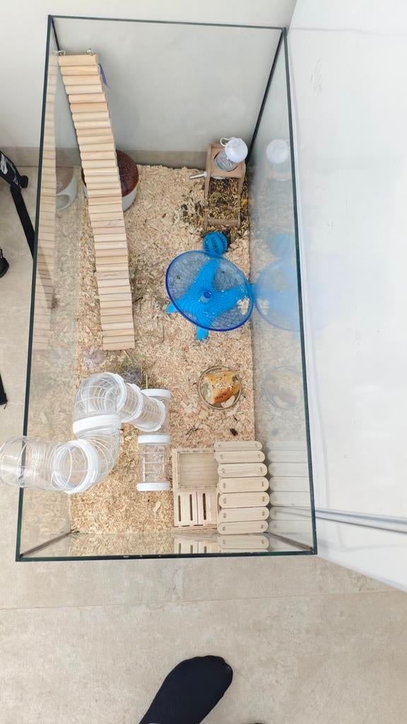 Hamsterkooi of Aquarium, Ophalen of Verzenden, Minder dan 75 cm, Kooi, Minder dan 60 cm