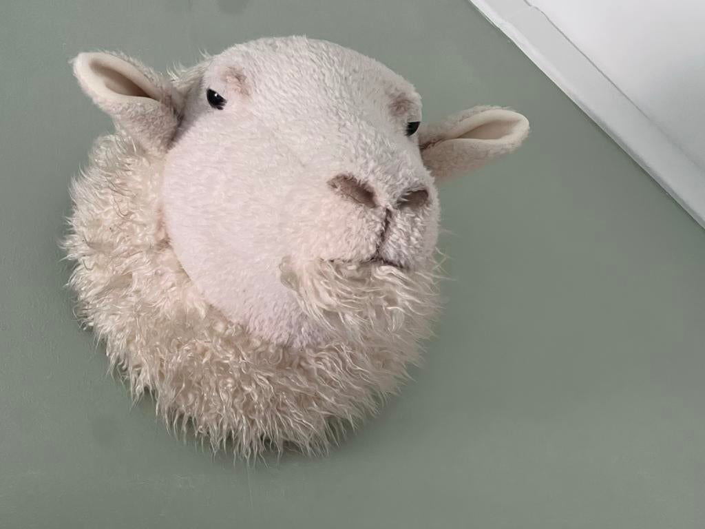 Schattige pluchen schapenkop wanddecoratie, Ophalen of Verzenden, Zo goed als nieuw