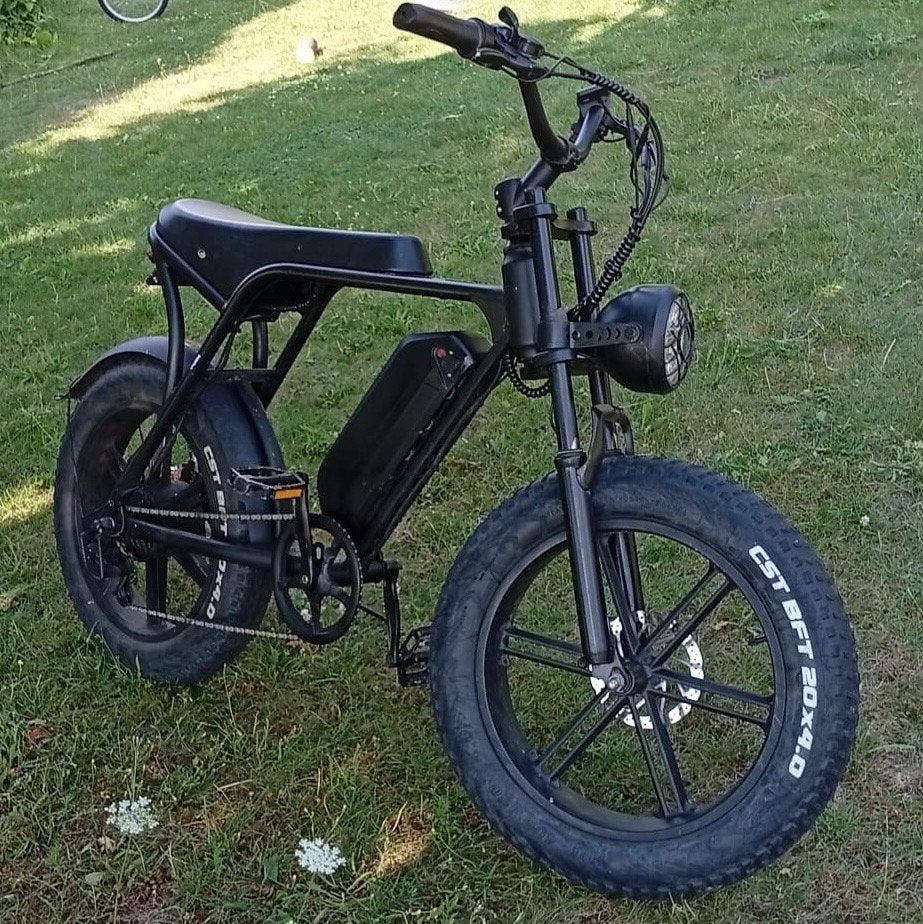 Stoere Fatbike E-bike - netjes met opvoerbaar display, Gebruikt, 51 tot 55 cm, 50 km per accu of meer, Ophalen